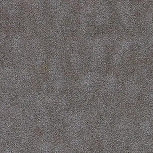 4795 Windswept Pewter